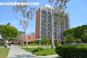 California State university long beach admissions 