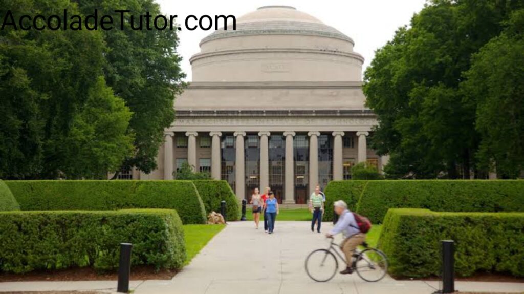 Massachusetts Institute of Technology Professors