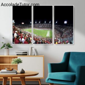 Stanford University Canvas