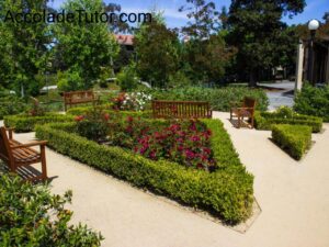 stanford university arboretum