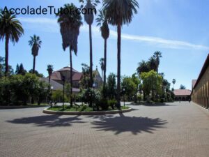 stanford university arboretum