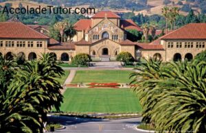 Stanford University Job Outcomes
