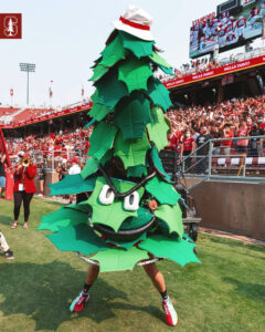 Stanford University Mascot