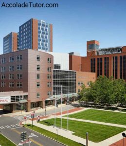 Yale University Early Action Acceptance Rate 2026