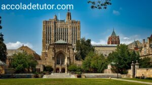 Yale University Transfer Application 