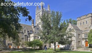 Yale University Transfer Application 