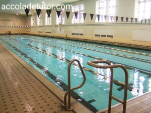 Yale University Pool