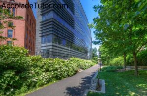 yale university biomedical engineering