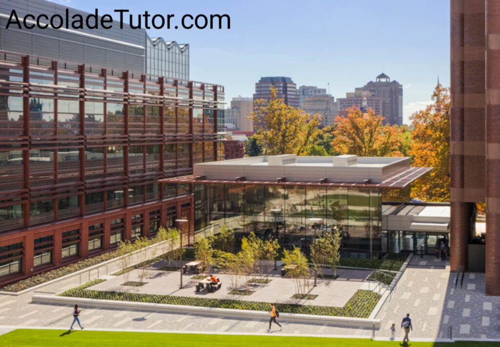 yale university biomedical engineering