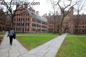 harvard university vs yale 