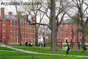 harvard university vs yale 