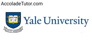 yale university application requirements