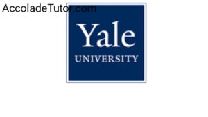yale university application requirements
