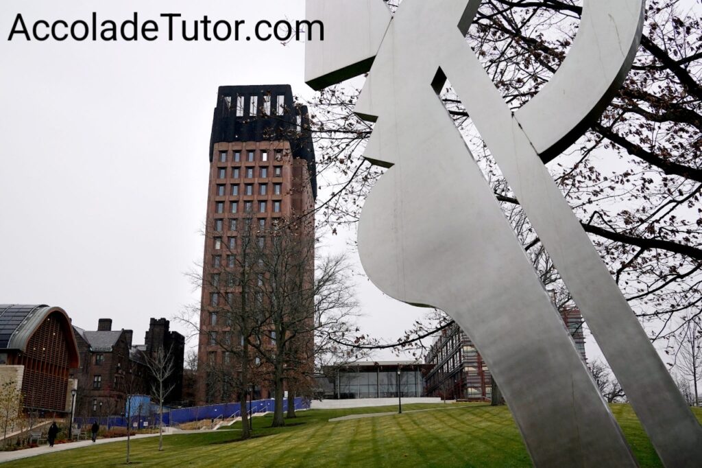 yale university common data set