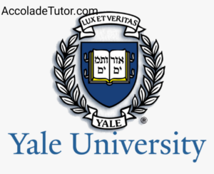 yale university women's lacrosse