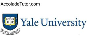 does yale university give athletic scholarships