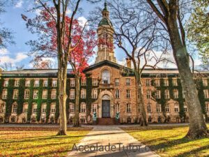princeton university common data set