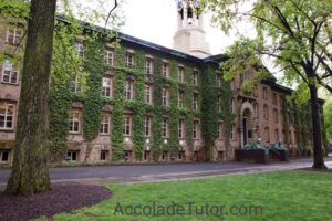 princeton university common data set