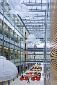 princeton university chemistry