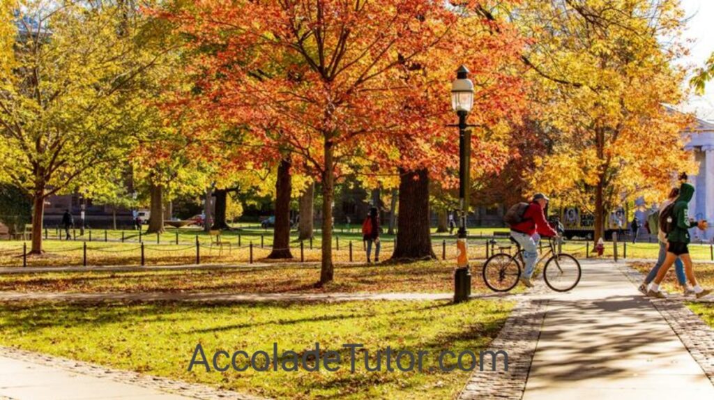 concur princeton university