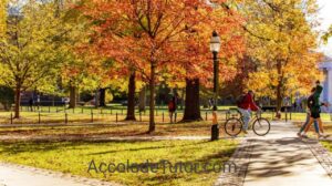 concur princeton university