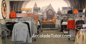 princeton university portfolio requirements