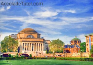 columbia international university baseball