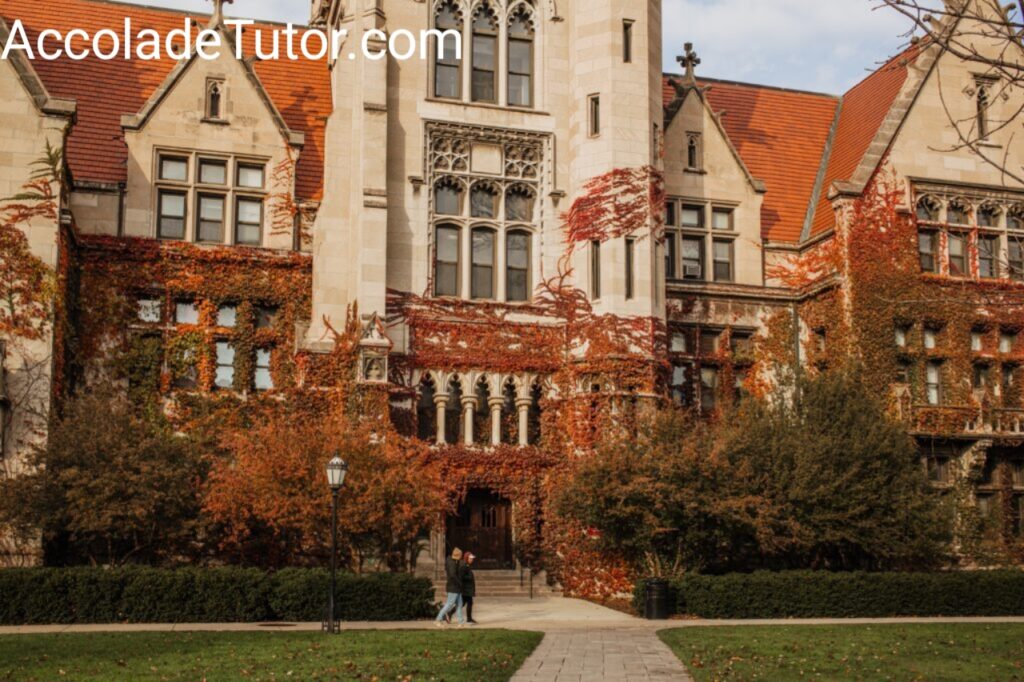 what is university of chicago known for