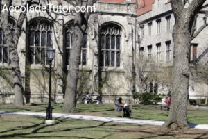 university of chicago academic crisis