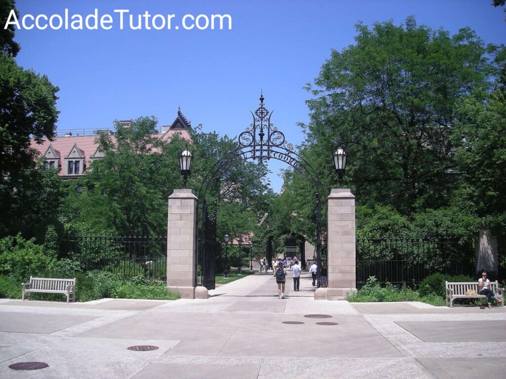 university of chicago waitlist