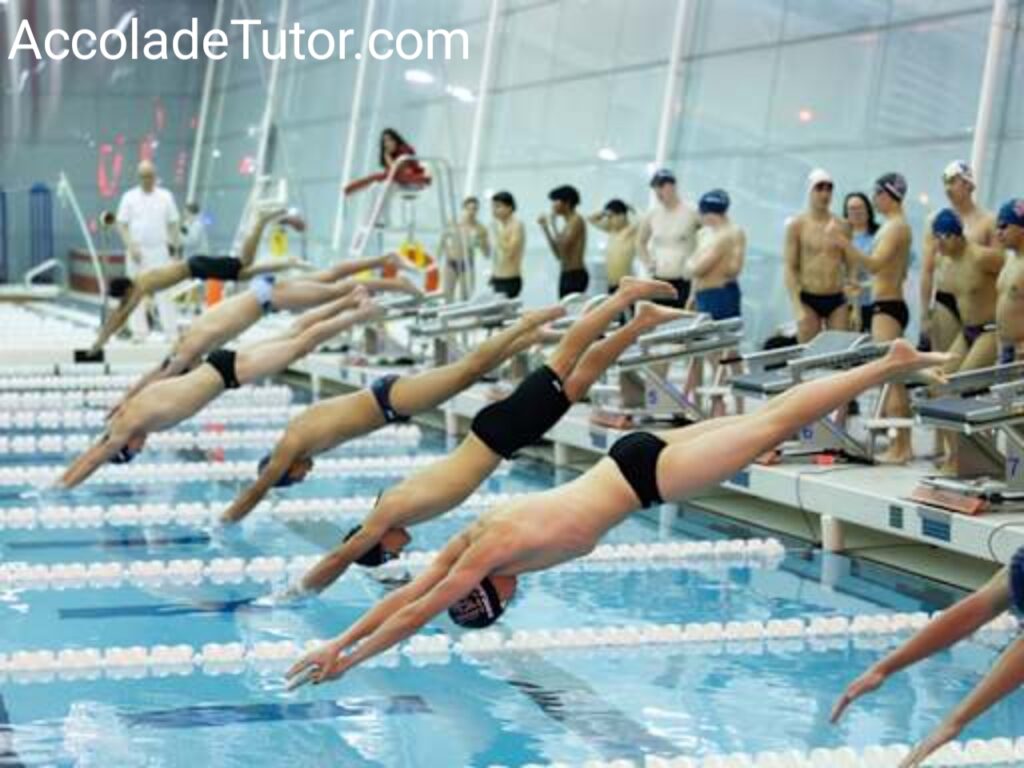 university of chicago swimming