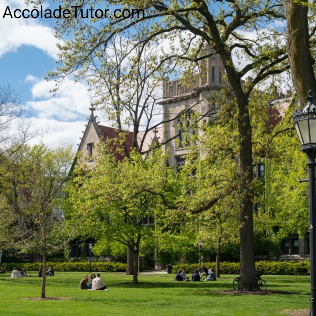 university of chicago requirements