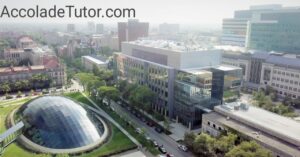 university of chicago department of political science