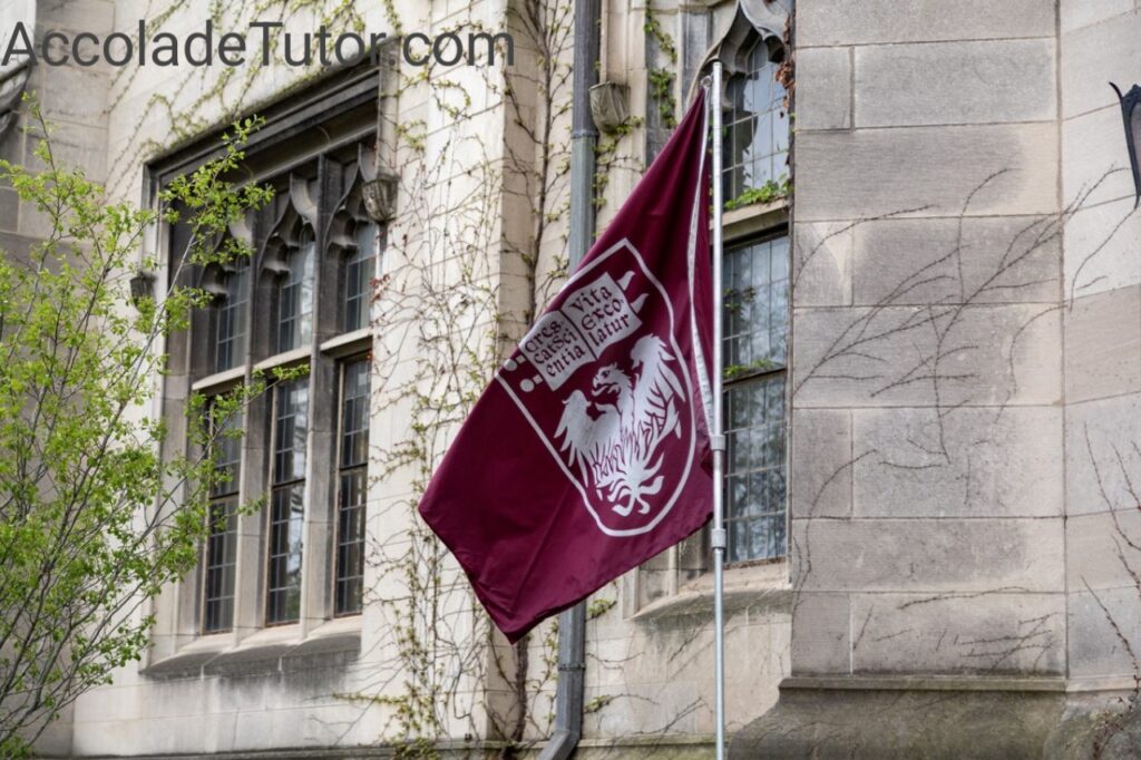 university of chicago department of history