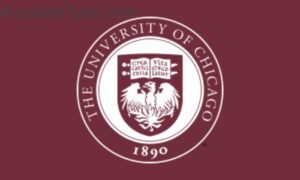 university of chicago department of history