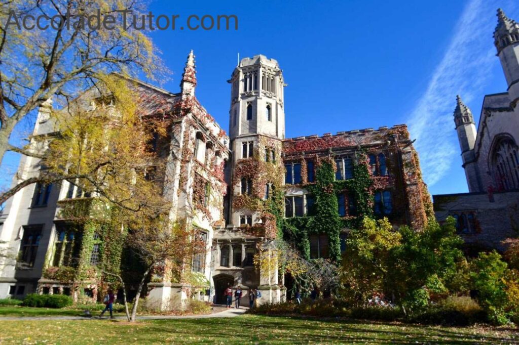 the university of chicago acceptance rate