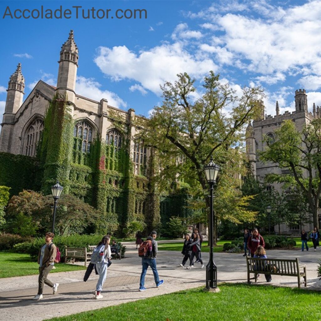 is the university of chicago a good school