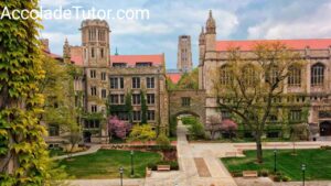 university of chicago gpa