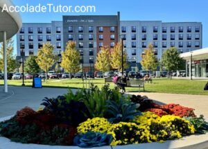 hotels near university of illinois chicago