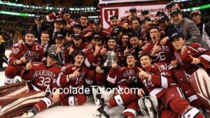 Harvard University Pay Grades