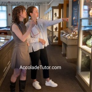 harvard university admissions deadlines