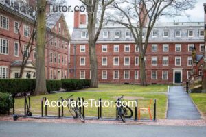 What Are the Tuition Fees at Harvard University?