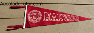 Harvard university pennant 