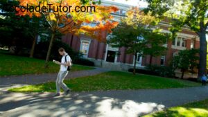 jobs harvard university